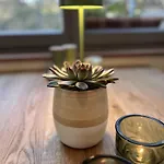 Zuhause Auf Zeit In Appartamento