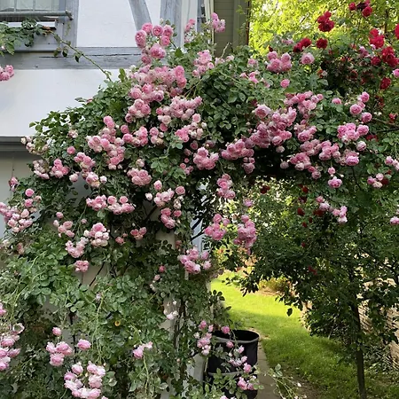 Zuhause Auf Zeit In