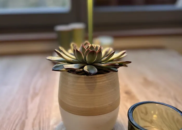 Zuhause Auf Zeit In 公寓